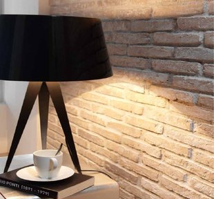 Brique rustique terreuse caleado